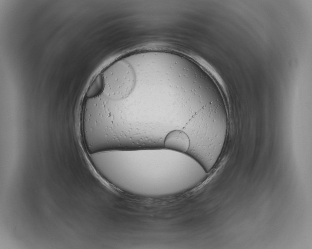 X0000111471437200907131229