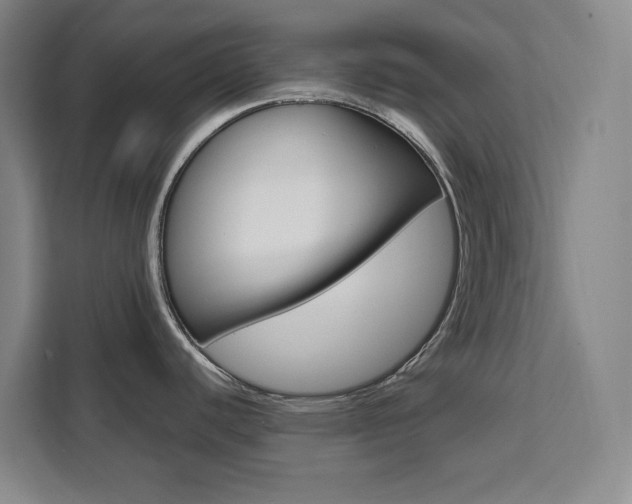 X0000111471440200907131229