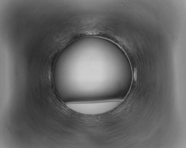 X0000111471444200907131229