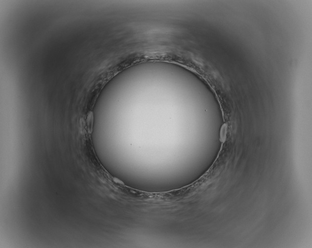 X0000111471445200907131228