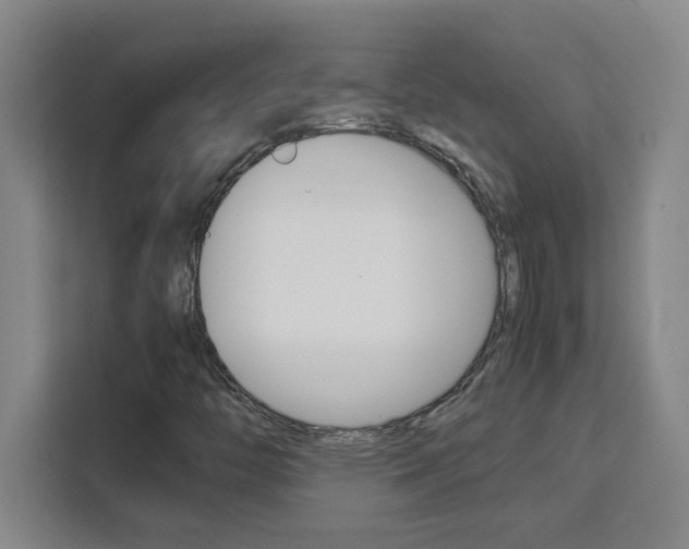 X0000111471446200907131228