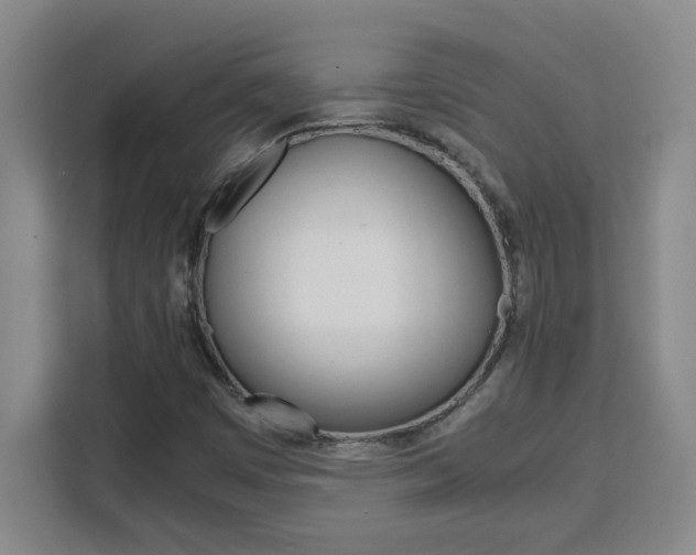 X0000111471449200907131228