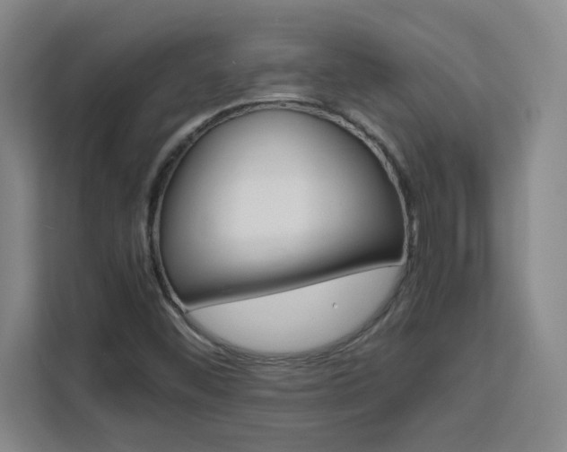 X0000111471452200907131228