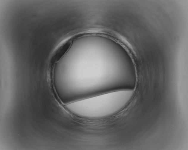 X0000111471456200907131228