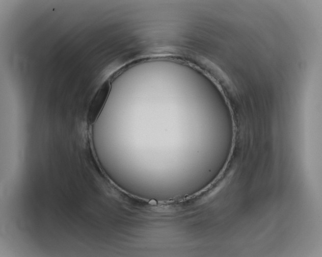X0000111471457200907131228