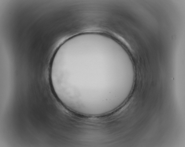 X0000111471463200907131228