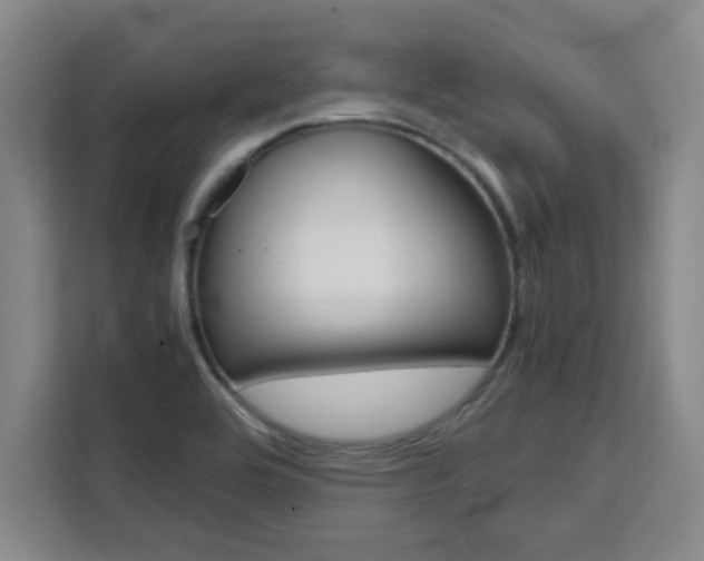 X0000111471464200907131228