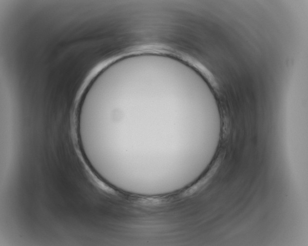 X0000111471470200907131228
