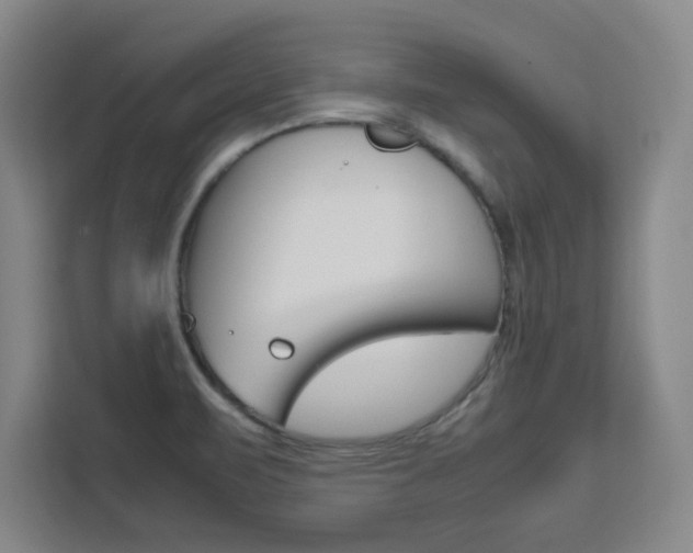 X0000111471471200907131228