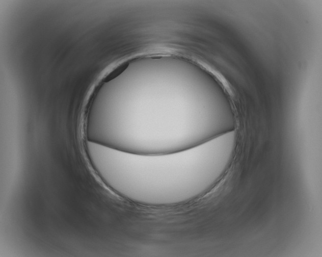 X0000111471477200907131228
