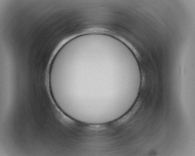 X0000111471478200907131228