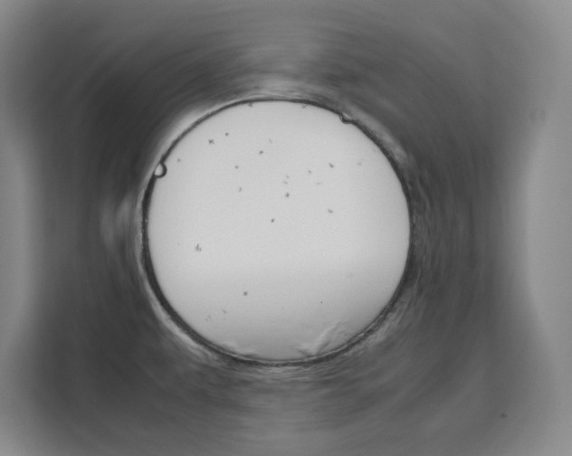 X0000111471479200907131228