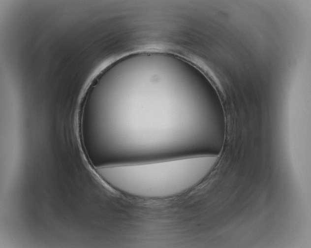 X0000111471480200907131228