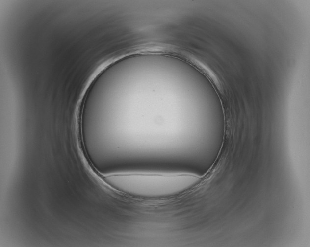 X0000111471483200907131228