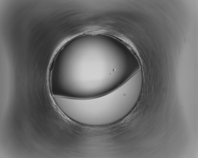 X0000111471488200907131228