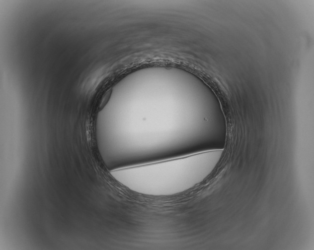 X0000111471490200907131227