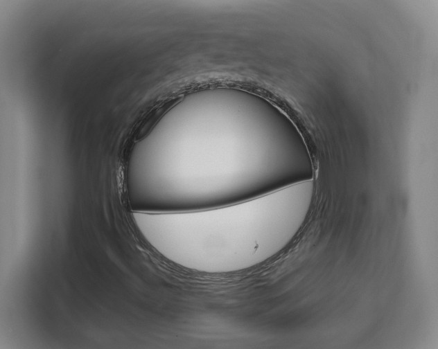 X0000111471492200907131227