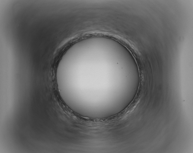 X0000111471494200907131227