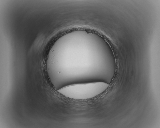 X0000111471495200907131227