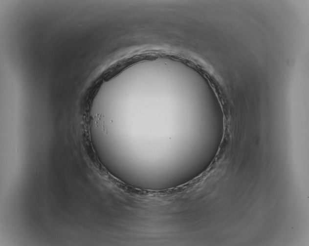 X0000111471496200907131227