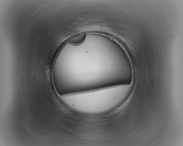 X0000111471497200907131227