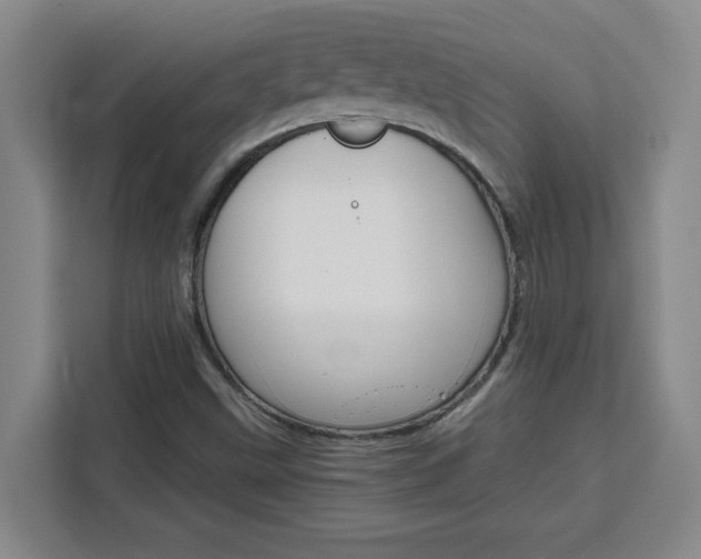 X0000111471499200907131227