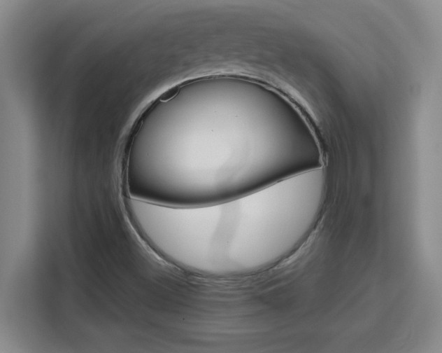 X0000111471500200907131227