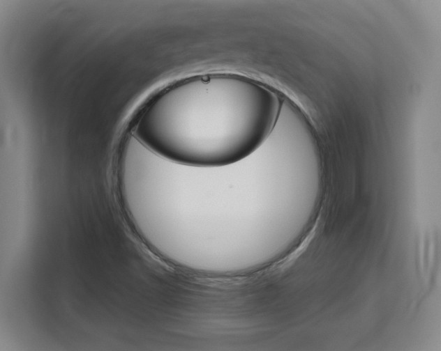 X0000111471502200907131227