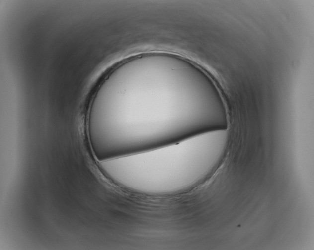 X0000111471503200907131227