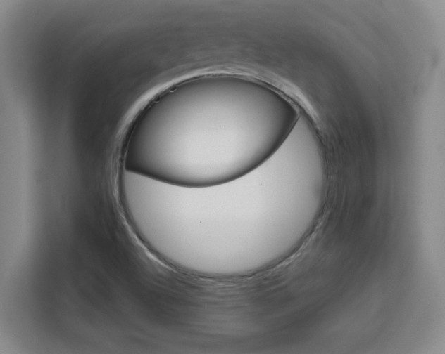 X0000111471504200907131228