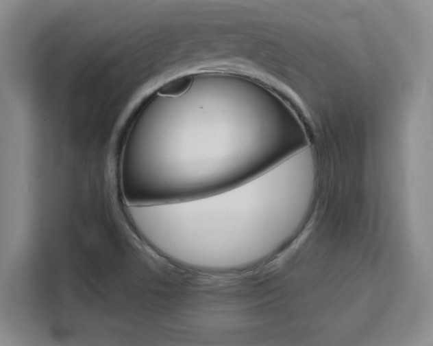 X0000111471506200907131228