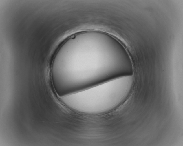 X0000111471507200907131228