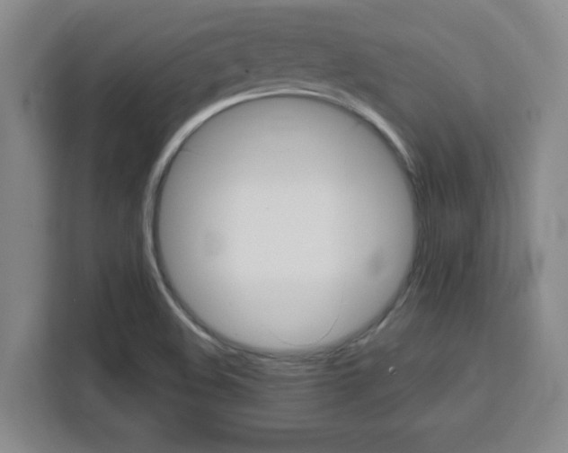 X0000111471508200907131228
