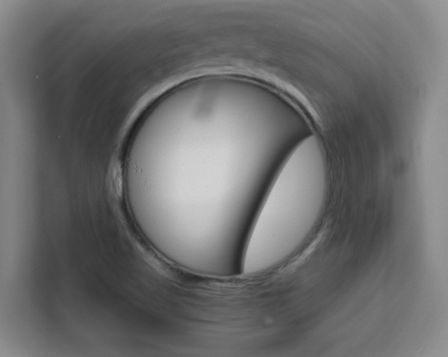 X0000111471509200907131228