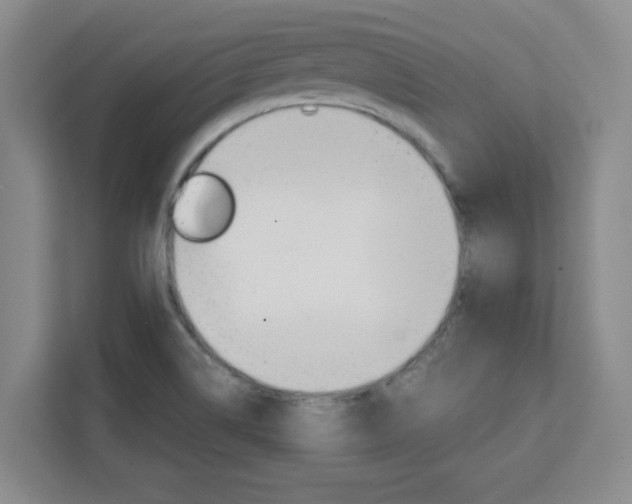 X0000111471514200907131228