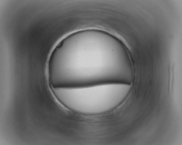 X0000111471516200907131228