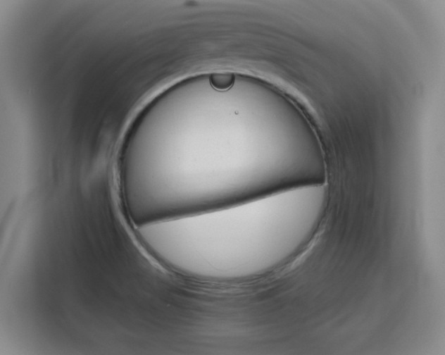 X0000111471517200907131228