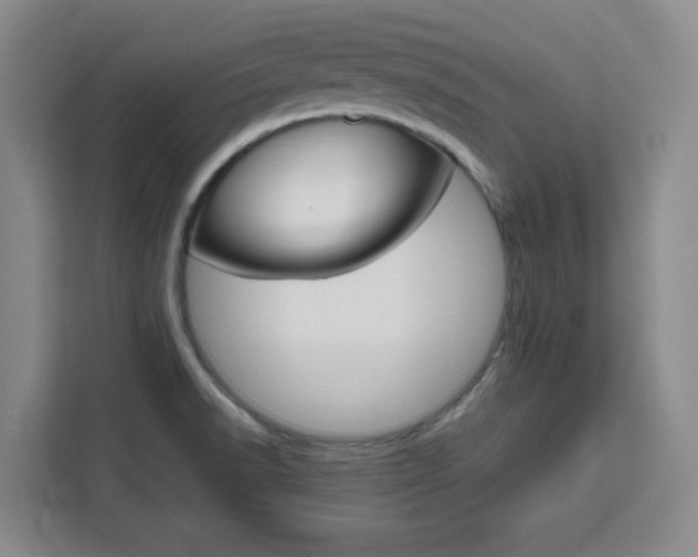 X0000111471518200907131228