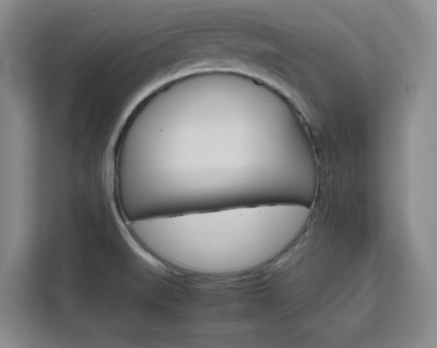X0000111471519200907131228