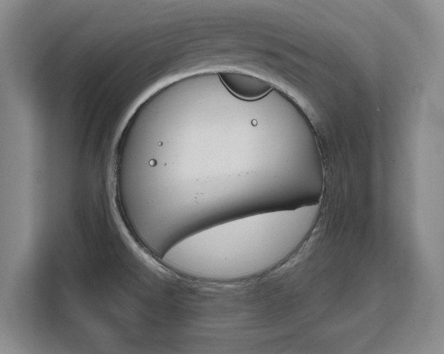 X0000111471526200907131228