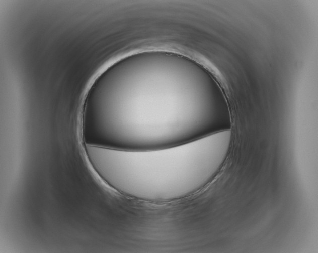 X0000111471528200907131228
