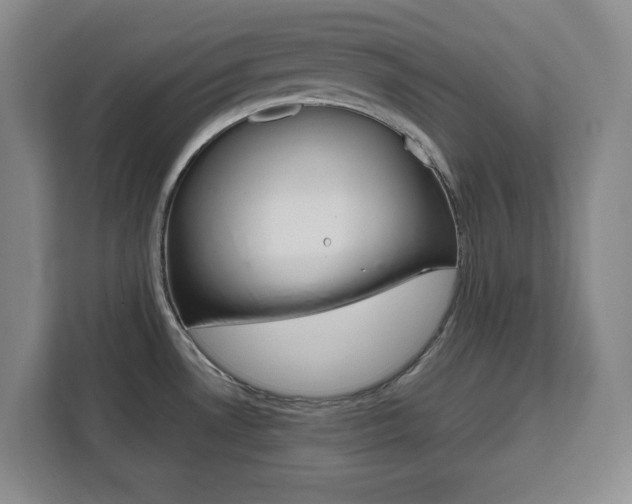 X0000111471530200907131228
