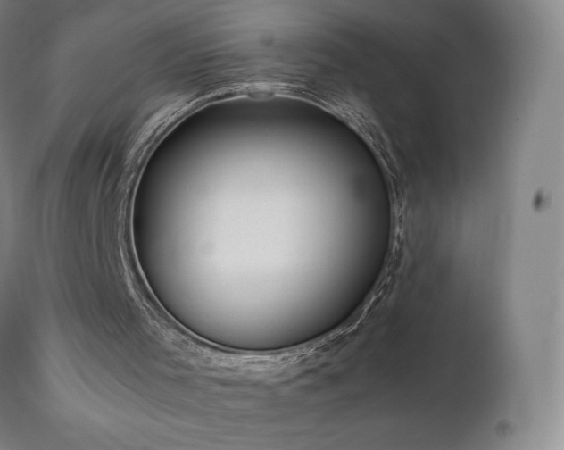X0000111470001200907131529