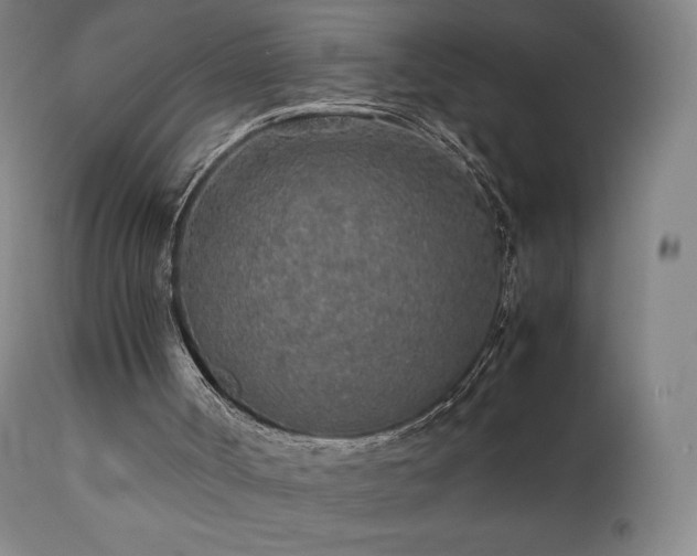X0000111470002200907131529