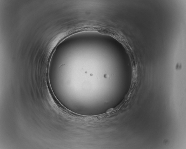 X0000111470003200907131529