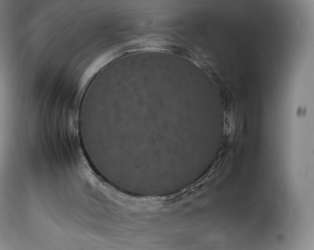X0000111470004200907131529