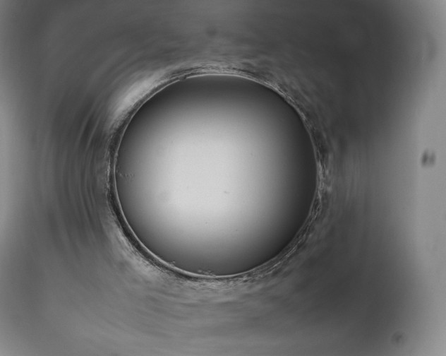 X0000111470005200907131529