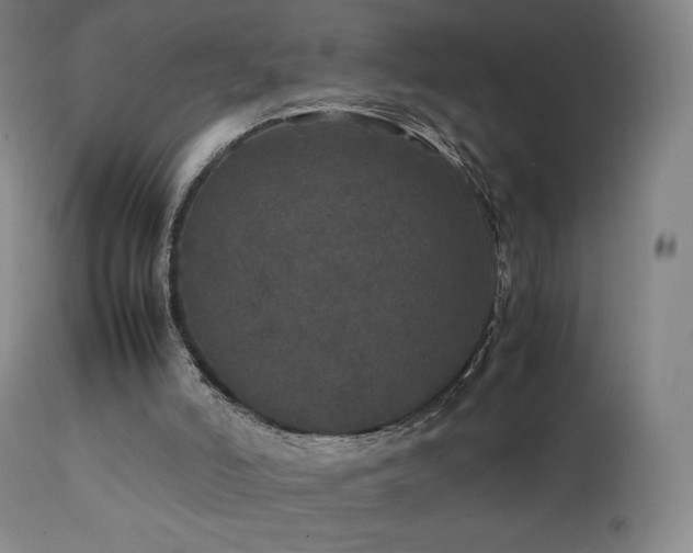 X0000111470006200907131529