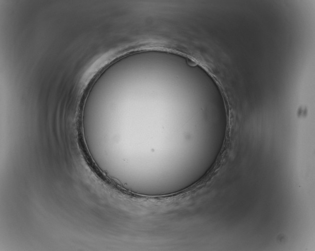 X0000111470007200907131529
