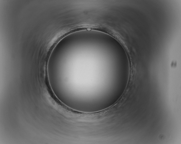 X0000111470011200907131529